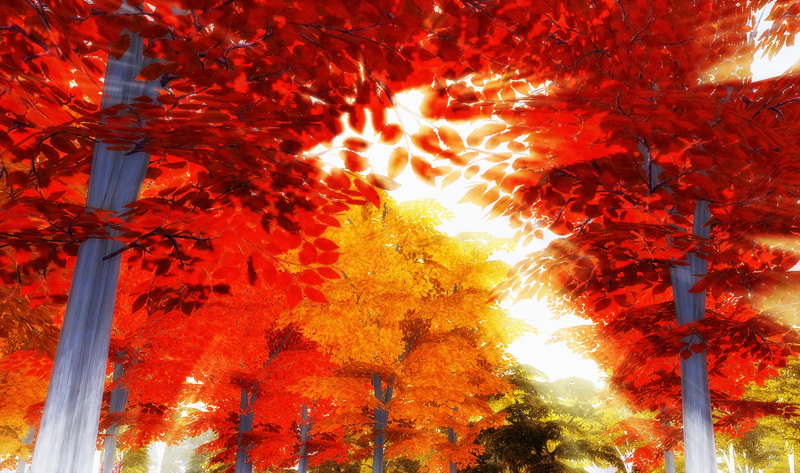 df02abd078a3d8e2c6f0b127f1c65ebf.jpg
