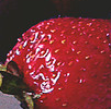 78RiSC5.png