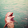 a993f6f48c758d84d41ac48c1e5eca25.png