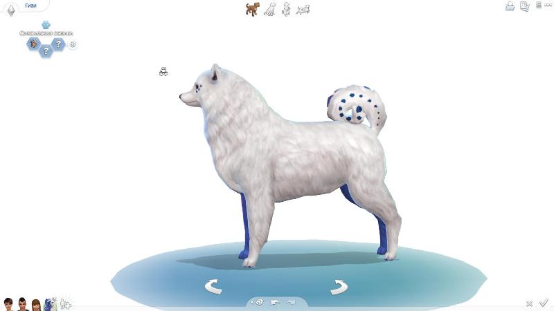 TS4-x64-2020-01-10-16-23-16-78.jpg