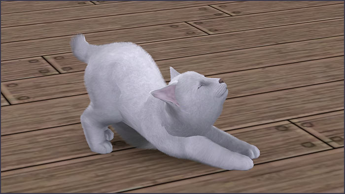 0_d79fc_27ba1485_XL.png