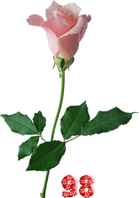 0_fb3d0_f0efec61_M.png