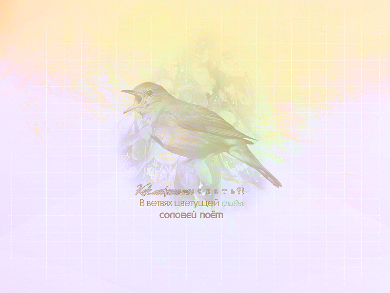 fgch2Pp.png