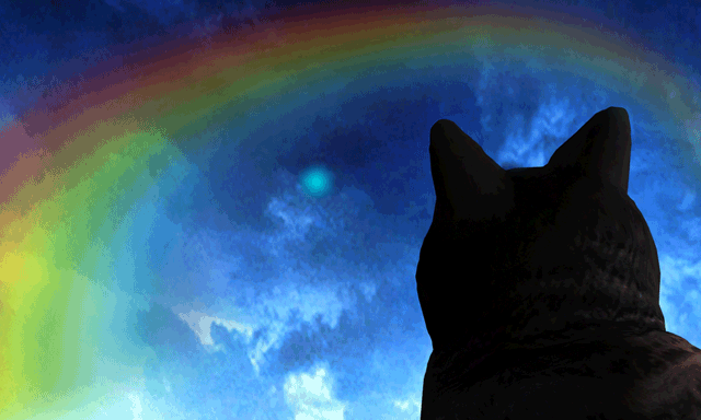 f700d0e4f591418ac61a2edd55aae80f.gif