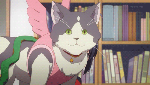 tumblr_mbrjtudEQs1qiyx4bo1_500.gif
