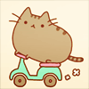 4MzzU.gif