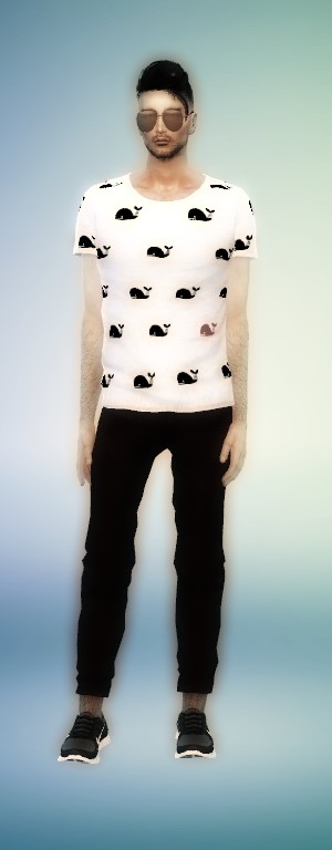 9ff4a9fd05a88ee377e878ab93a0bc2d.png