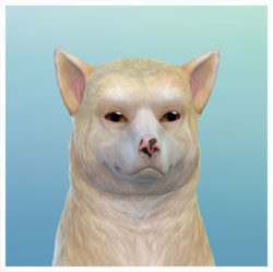 TS4-x64-2021-10-17-17-06-32-23.jpg