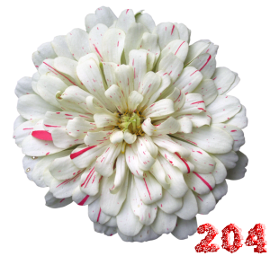 0_fb43a_38d7e88f_M.png