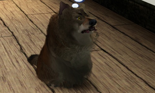 tumblr_mtwj3zrtNp1sgytfno2_500.jpg