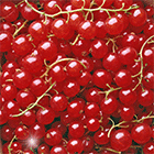 2c8ed5aa2a2bed0403ffc31da045983f.gif