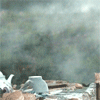 Y39S6.gif