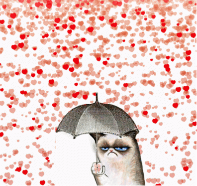 ild9Dzz.gif