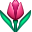 f09f8cb7_2x.png