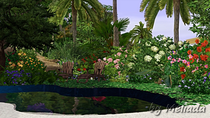 0_ae8b6_6d384028_orig