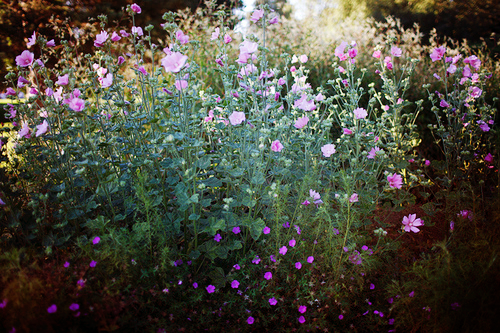 f8f53ae276a760d9f900e49000c87c49.png