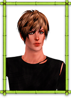 11.png