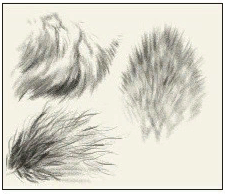 049b1ace335969926789cabf651f43bc.png
