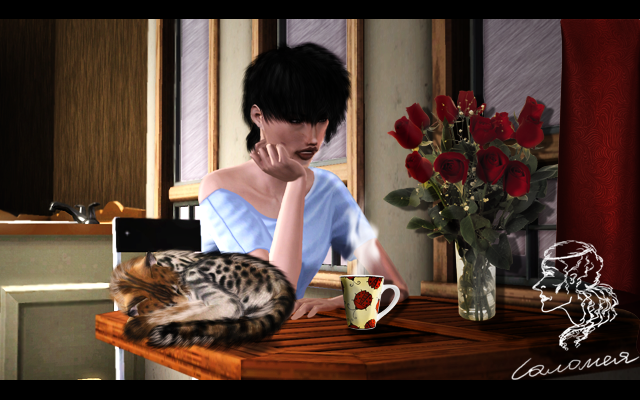65ef21528dbd33c1f825acd7328f6af2.png