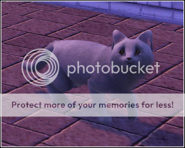 Screenshot-152.png