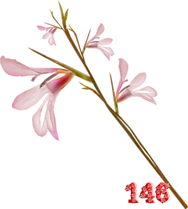0_fb400_7d8c41d4_M.png