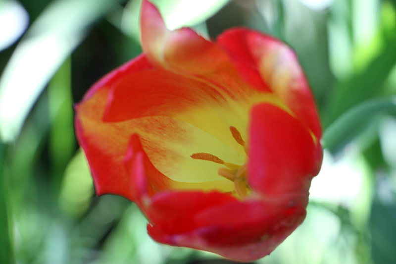0_10f8ce_9ead2480_orig