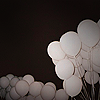 6558d4446bb9789fa4c41cb75ca6f0b4.png