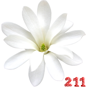 0_fb441_cdc4af68_M.png