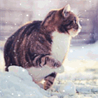 0_19928e_d1a8d6e4_orig.jpg