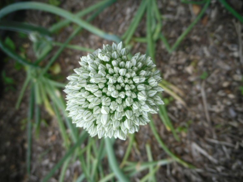 0_121877_9aa52532_orig.jpg
