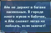 vds65.jpg