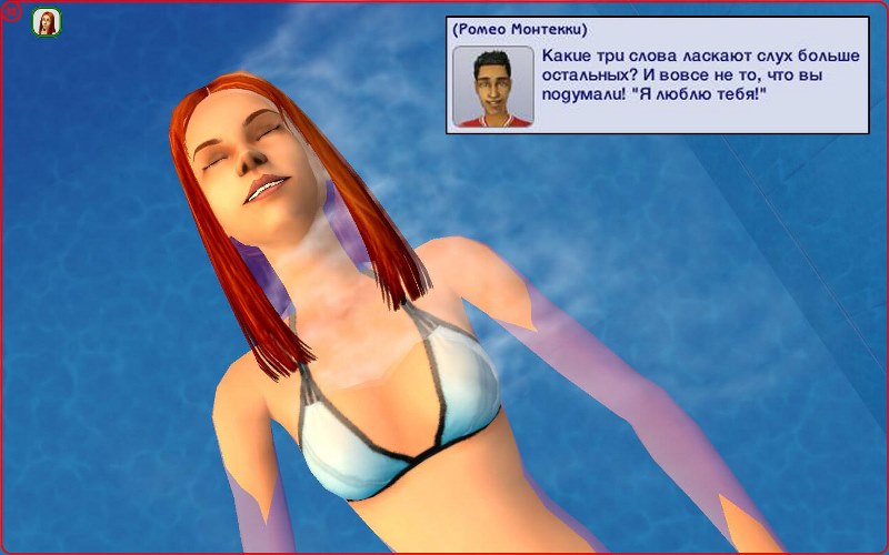 erigVaD.jpg