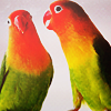 c6fa2c60a3cb1a9267368d516d2beb93.png
