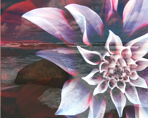 4af26403967da98a8a1d563352514a55.png