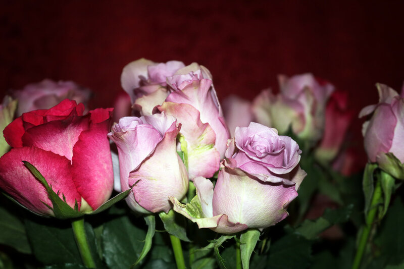 0_113cf6_54607975_XL.jpg