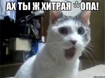 5e12fe37d41dea8a55b5a54862a6cd12.jpg