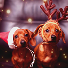 0a3bc6ba17e926000c7d035336f70645.png