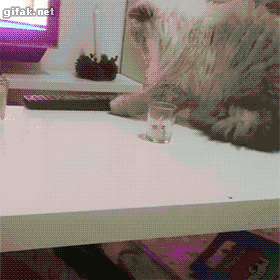dc7c4355f971aaa7f1e408abe4a85641.gif