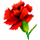1HhgKX4.png