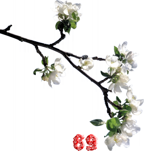 0_fb3b3_d8bf9f97_M.png