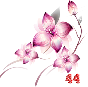 0_fb39a_8c71e85a_M.png