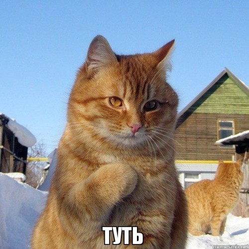 921a4df21bd773324fe72211a24ffefe.jpg
