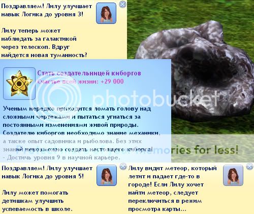 231.jpg
