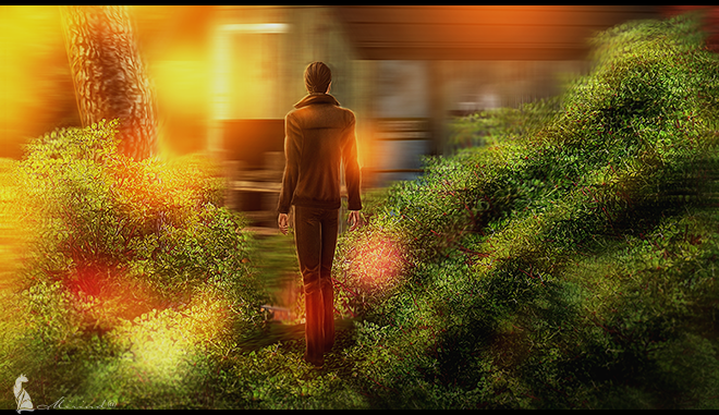 0_166dd7_ba5be02_orig.png