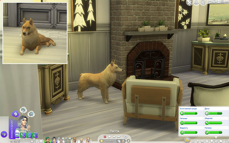 TS4-x64-2021-04-24-14-54-20-47.jpg