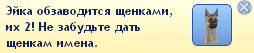 nae4HDw.png