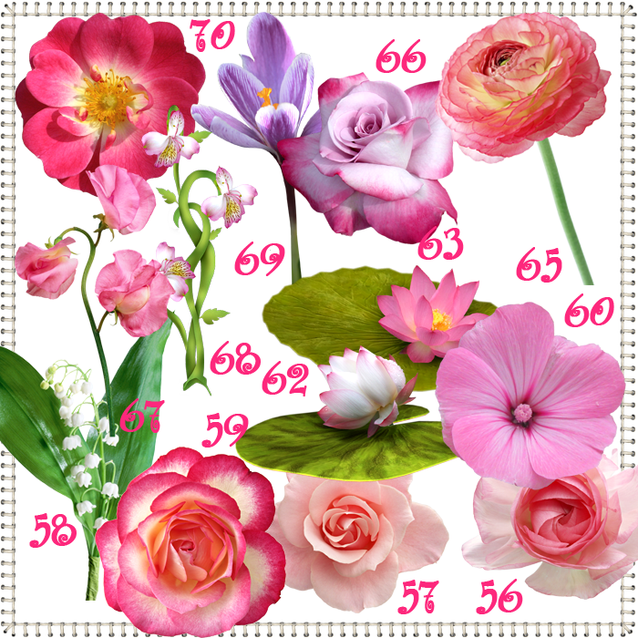 df2e830a3d6c3cfa302e65a4efa82328.png