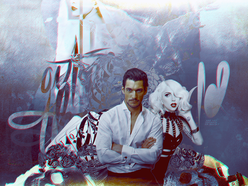 shapka-td02.png