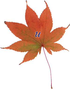 0_153c20_ffe71a84_orig.png