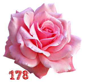 0_fb420_32d1e21_M.png